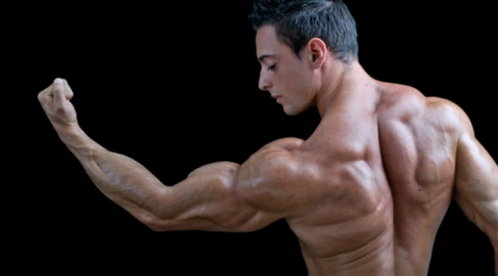 tại sao nam giới không phát triển cơ bắp